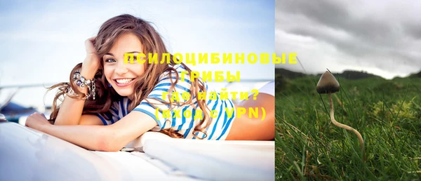 бутират Михайлов
