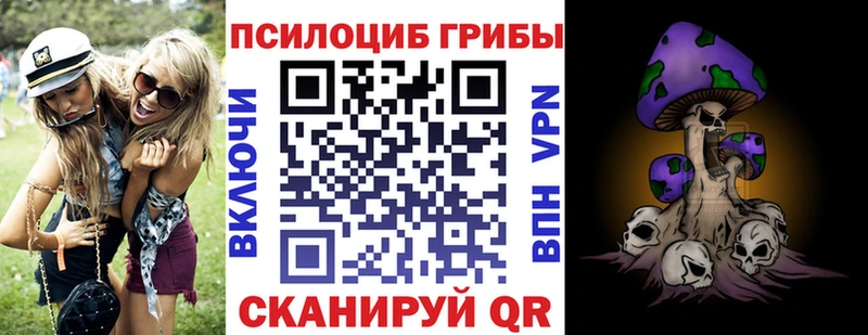 Псилоцибиновые грибы мицелий  купить закладку  Муравленко 