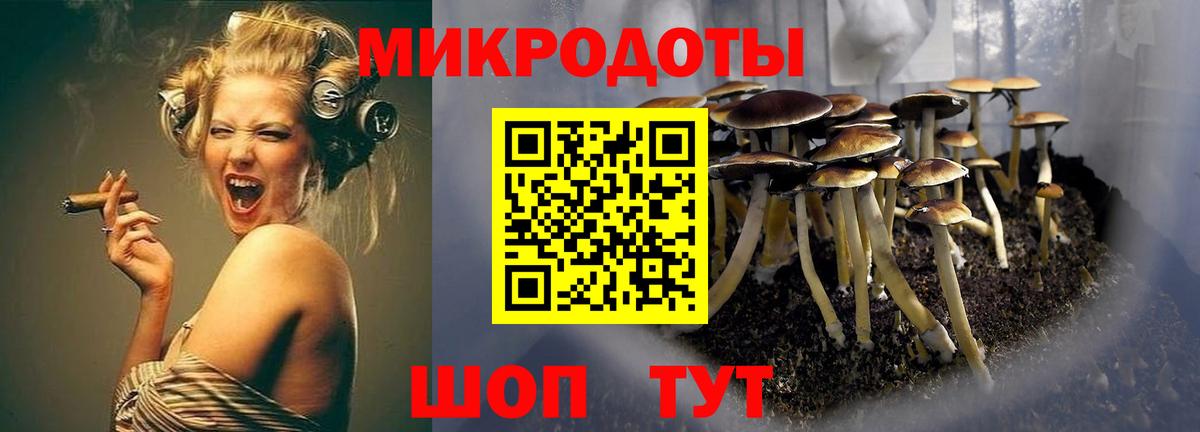 Псилоцибиновые грибы Psilocybine cubensis  Галлюциногенные грибы прущие грибы  Вход с VPN  Муравленко 
